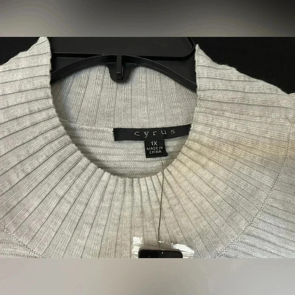 CYRUS Woman’s Gray Knit Sweater NWT Ribbed High Neck Dolman Sleeve Size 1X Plus - Picture 2 of 5